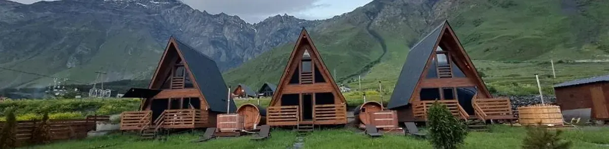 Remote Business - Low-Cost Access